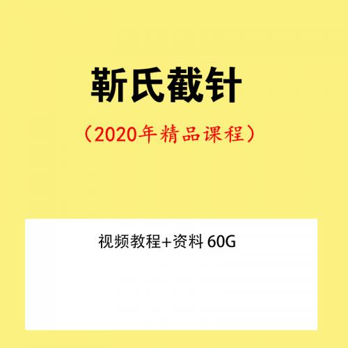 靳庆东靳氏截针中医针灸可以学会的针灸视频教程资料60g