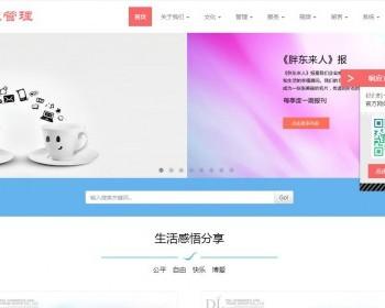 响应式企业管理类网站织梦模板（自适应移动端）