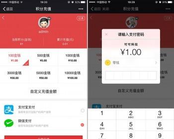 微信支付宝充值积分 V18.190518 Discuz微信支付宝充值积分 V18.190518