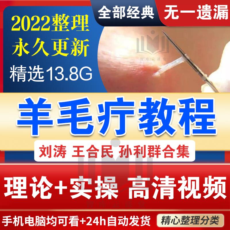 刘涛挑羊毛疔疗法针挑针灸手法 王合民腰关节痛教学中医视频课程