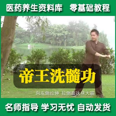 道家少林聂枭乔长虹洗髓功垂吊功帝王功洗髓经精气神教学视频教程