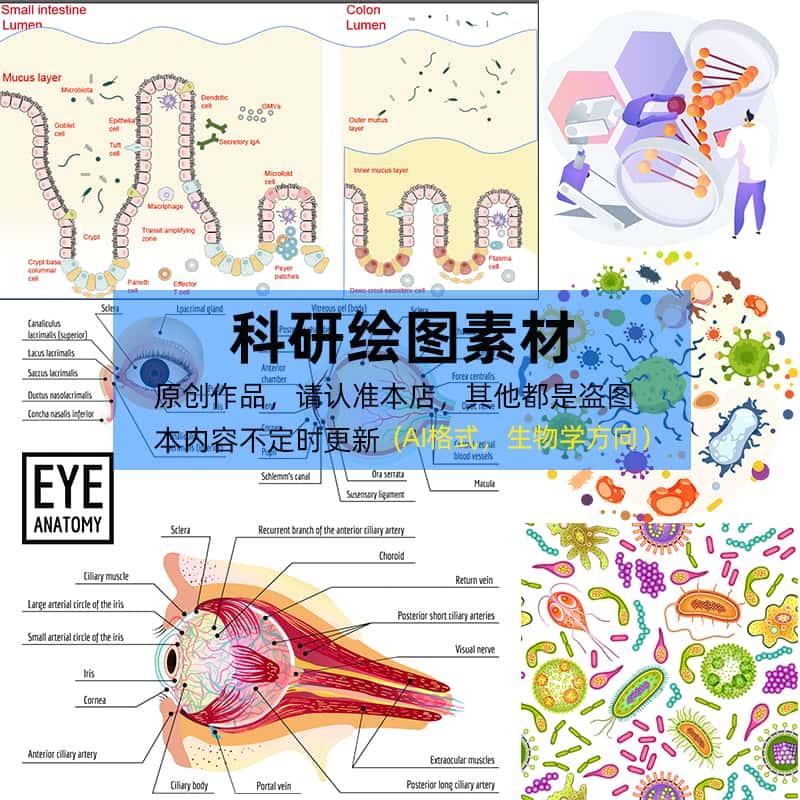 科研绘图素材流程图通路图器官图PPT插图细胞细菌生物医学AI模版