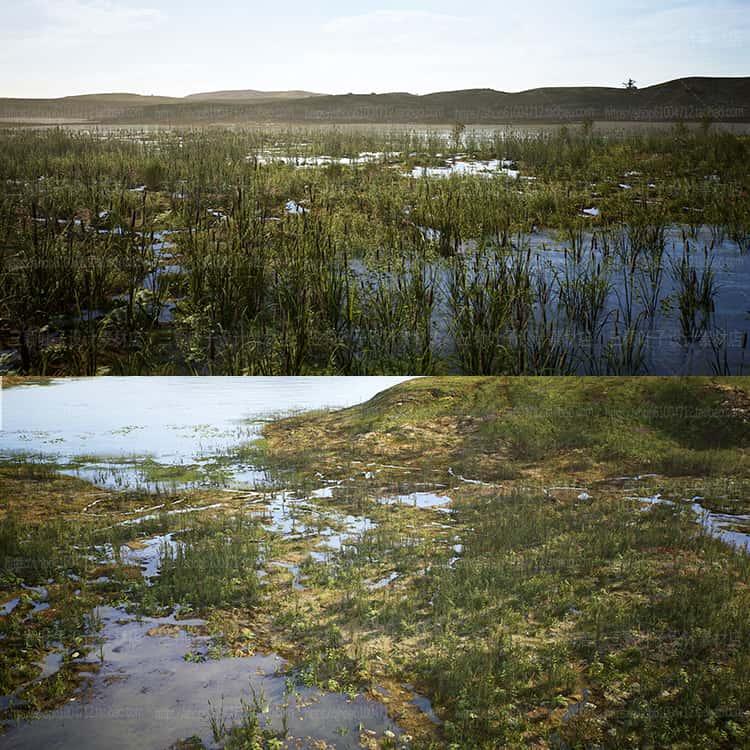 UE4草甸湿地自然景观资源 荒原湖泊沼泽岩石植物 场景CG素材8967