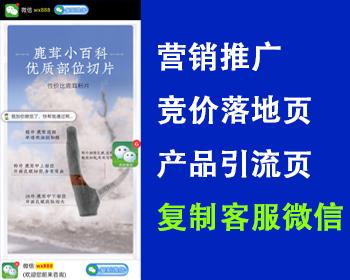 高端大气落地页单页网站源码营销竞价推广页网站源码产品引流页复制微信号打开微信功能