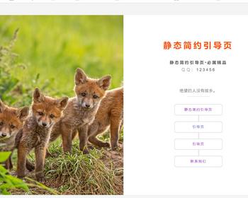 2025新个人主页静态简约引导页008