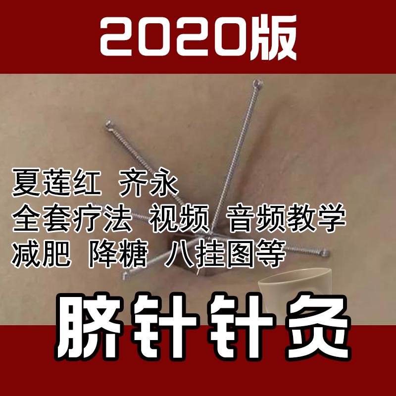 夏莲红齐永脐针疗法视频教学全集八卦全息图入门全套资料自学教程