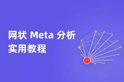 丁香园科研公开课网状 Meta 分析实用教程医学视频课程