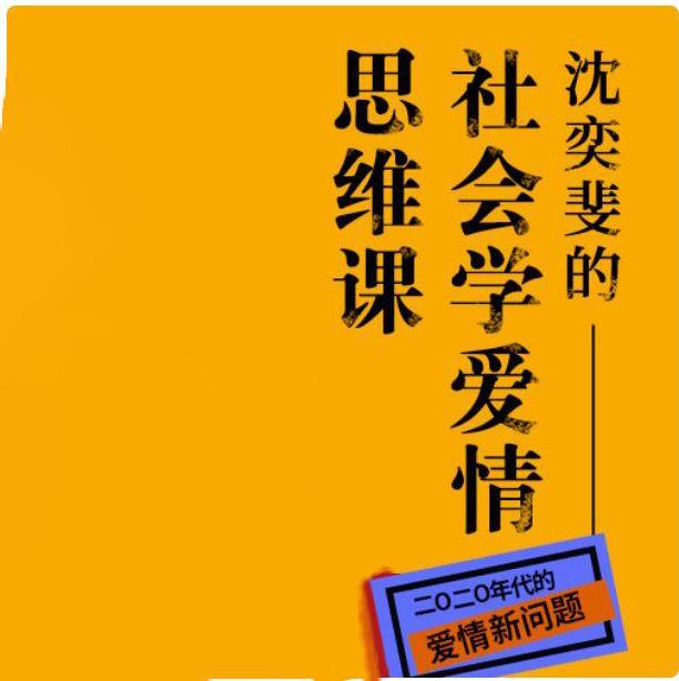 沈奕斐的社会学爱情思维课解读B站60节视频课程教程