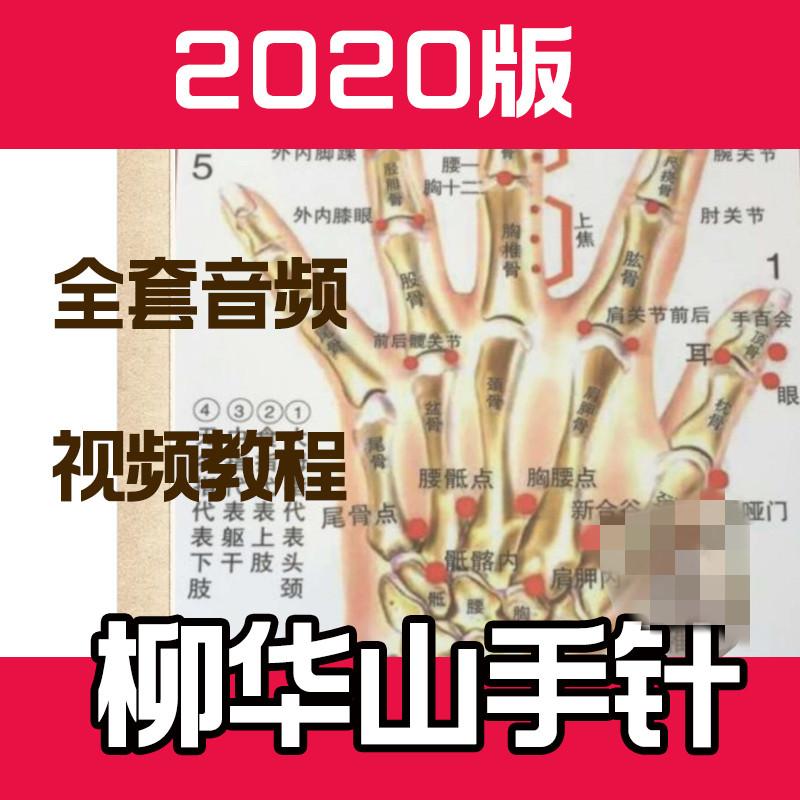 民间中医技法研究会柳华山手针视频教学教程讲课近100集针灸更新