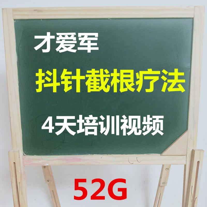 才爱军才氏抖针截根疗法暨排瘀疗法培训班4天视频52G视频教程