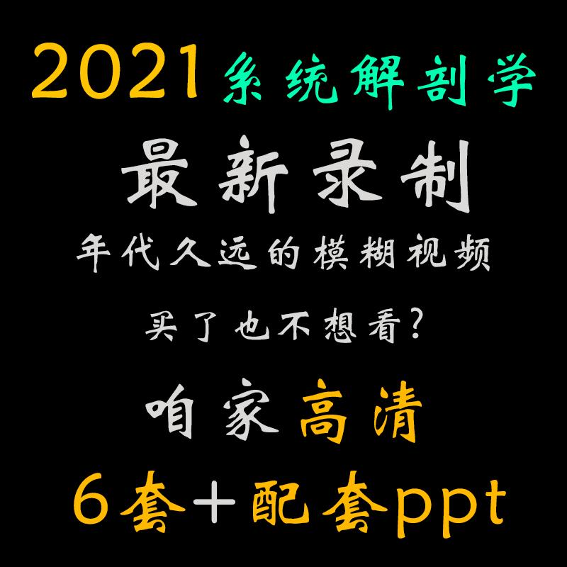 2021系统解剖学视频教程网课1280高清带课件自学