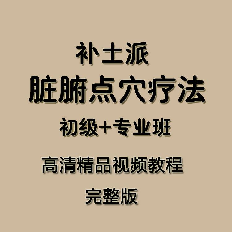 补土派脏腑点穴疗法脏腑推拿法机能调理中医初级班视频专业班教程