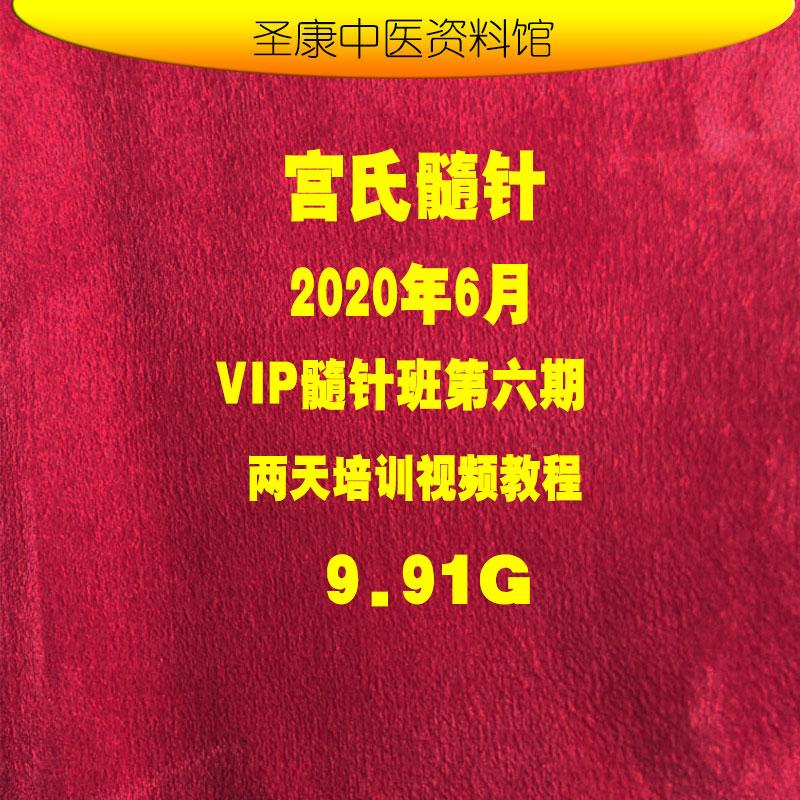 2020年宫氏脑针头针髓针理论点位实操第六期高清中医培训视频教程