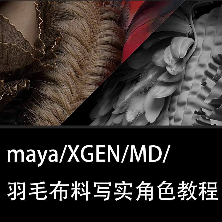 maya  XGEN 毛发  羽毛布料 中文视频教程带工程