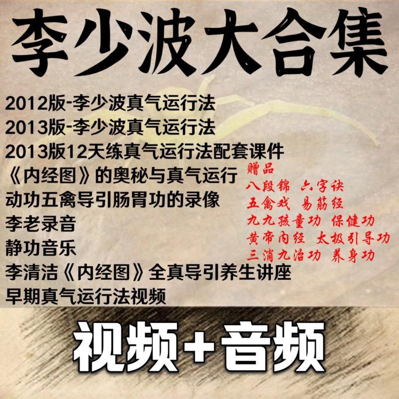 李少波真气运行法视频课程五步功法打通任督二脉气功教学视频教程