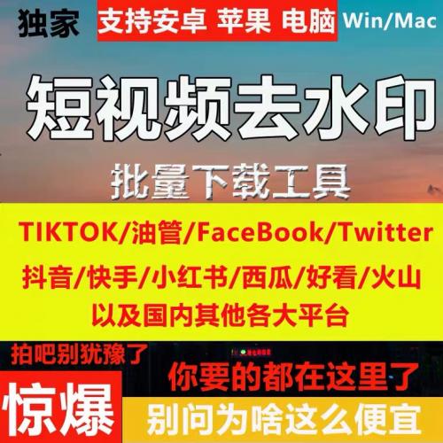 tiktoK短视频去水印解析批量下载软件无痕去LOGO热门抖音快手素材