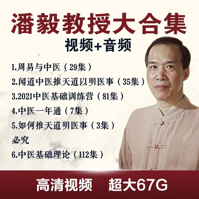 潘毅中医基础理论视频课程2022训练营高清音频一年通教程网盘全集