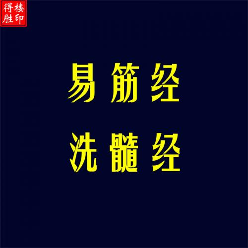 易筋經洗髓經養生視頻教學上乘內功健身氣功動作分解演示教程全套