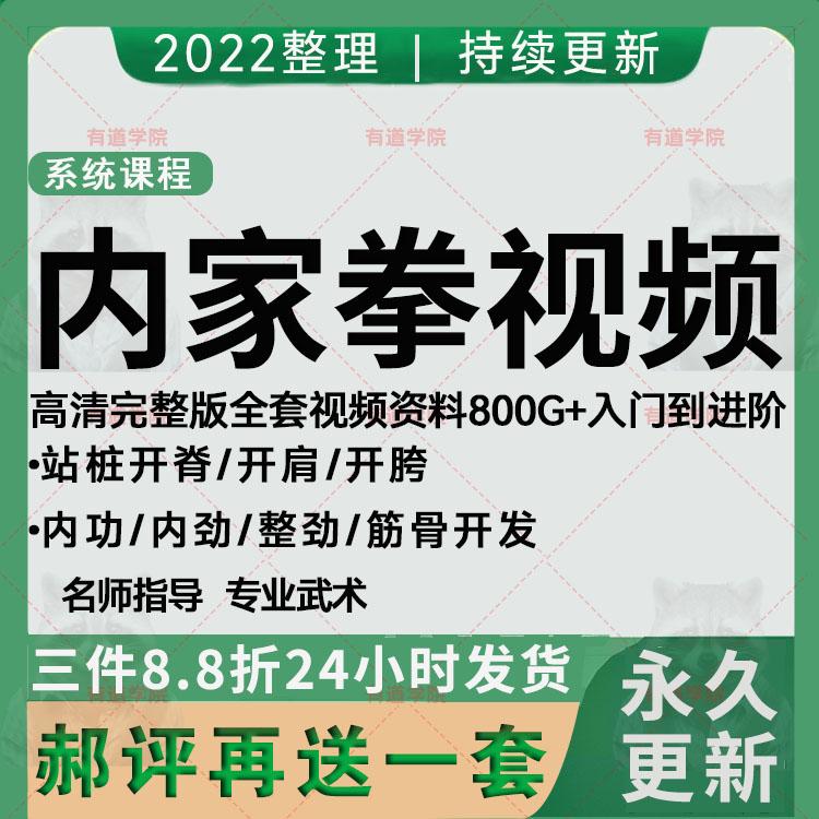 内家拳视频教学教程站桩开脊开肩开胯内功内劲整劲筋骨开发全集