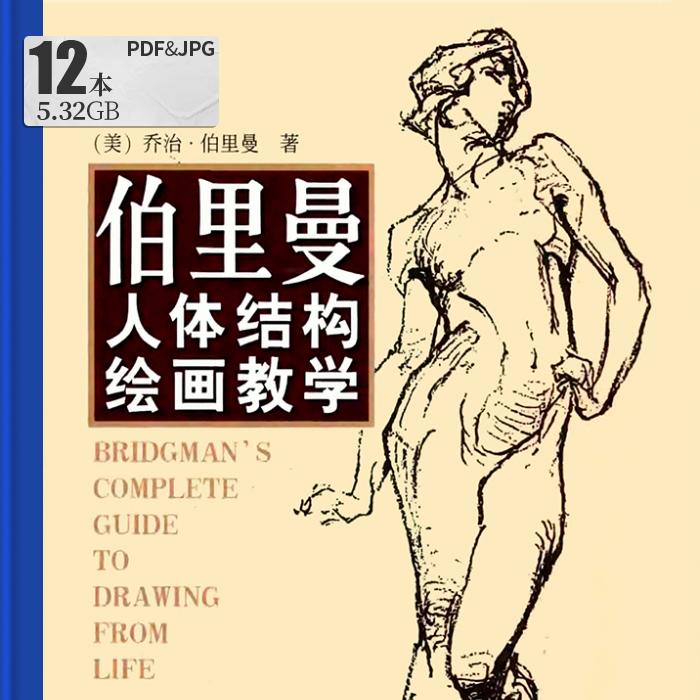 伯里曼12部PDF合集人体结构绘画教学人物速写高清图片素材