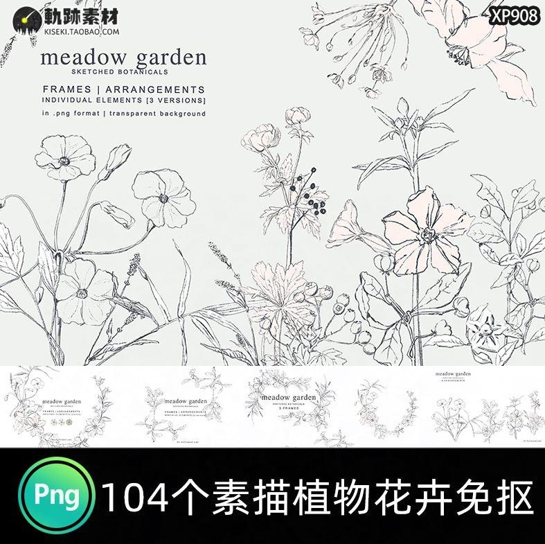 手绘铅笔素描线艺术植物线稿花卉草本元素产品ps包装素材PNG免抠