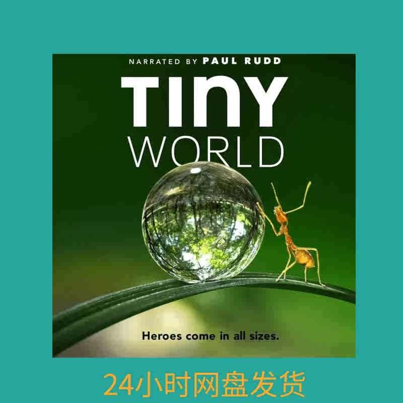 美剧英语 中文 纪录片Tiny World科普纪录视频台词素材高清4K