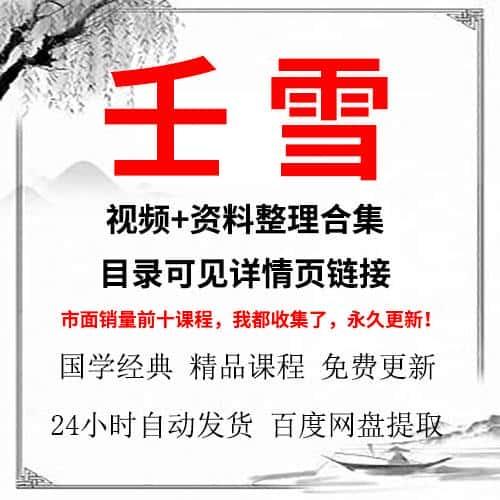 壬雪视频课程+资料合集全集网课教程学习资源大全推荐自动发货