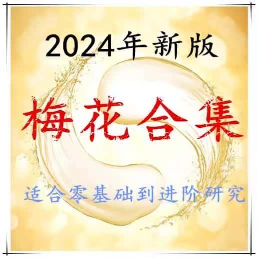 2024年新梅花数易课程合集视频资源全套零基础入门精品教程素材