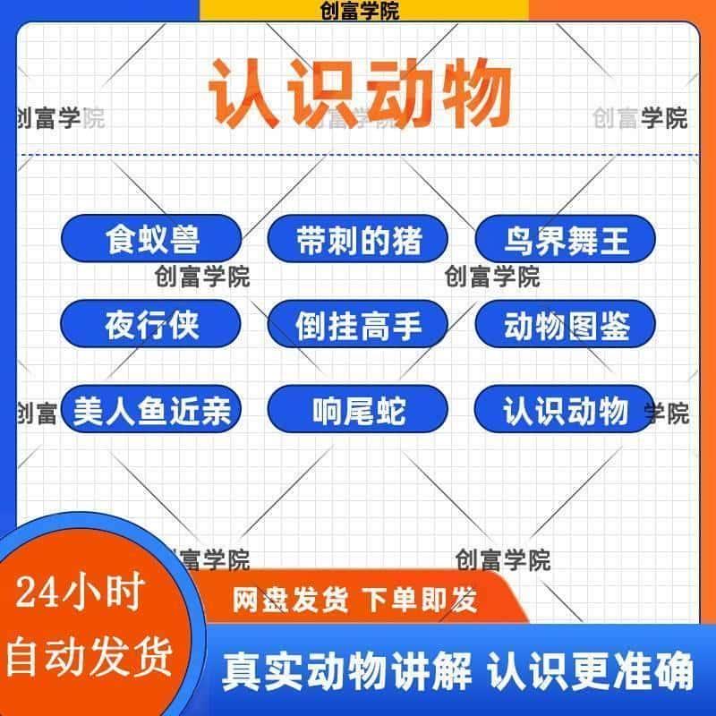 少年儿童认识动物视频科普人与自然知识课程素材启蒙教育提高认知