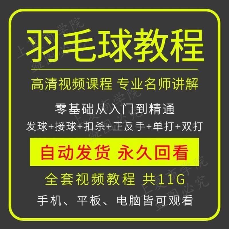 学打羽毛球视频教程零基础自学教学技术训练战术成人儿童运动课程