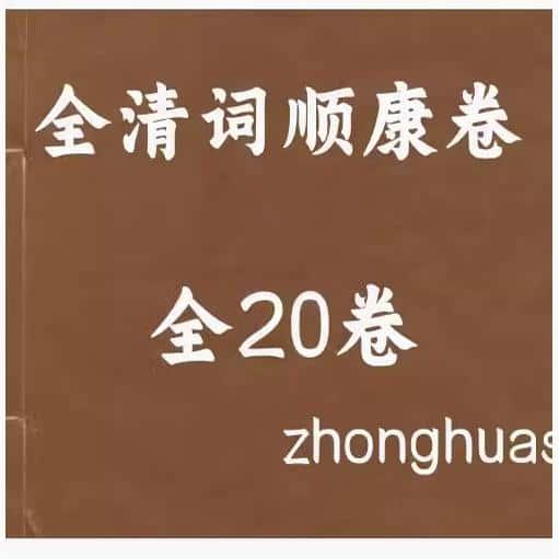 全清词顺康卷全20册 资源个各种了解资料文献PDF电子版素材