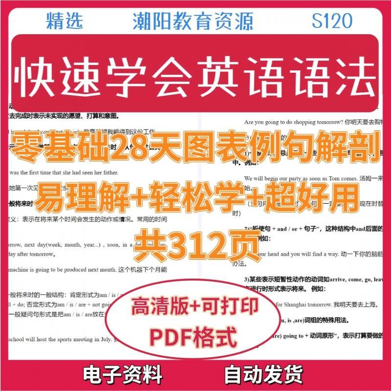 快速学会英语语法素材零基础28天图表例句解剖浅显易懂电子版S120