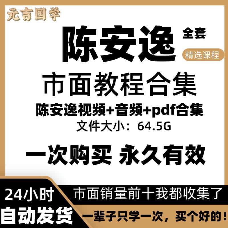 陈安逸课程视频全套合集初中高级教程零基础到精通精讲视频讲座