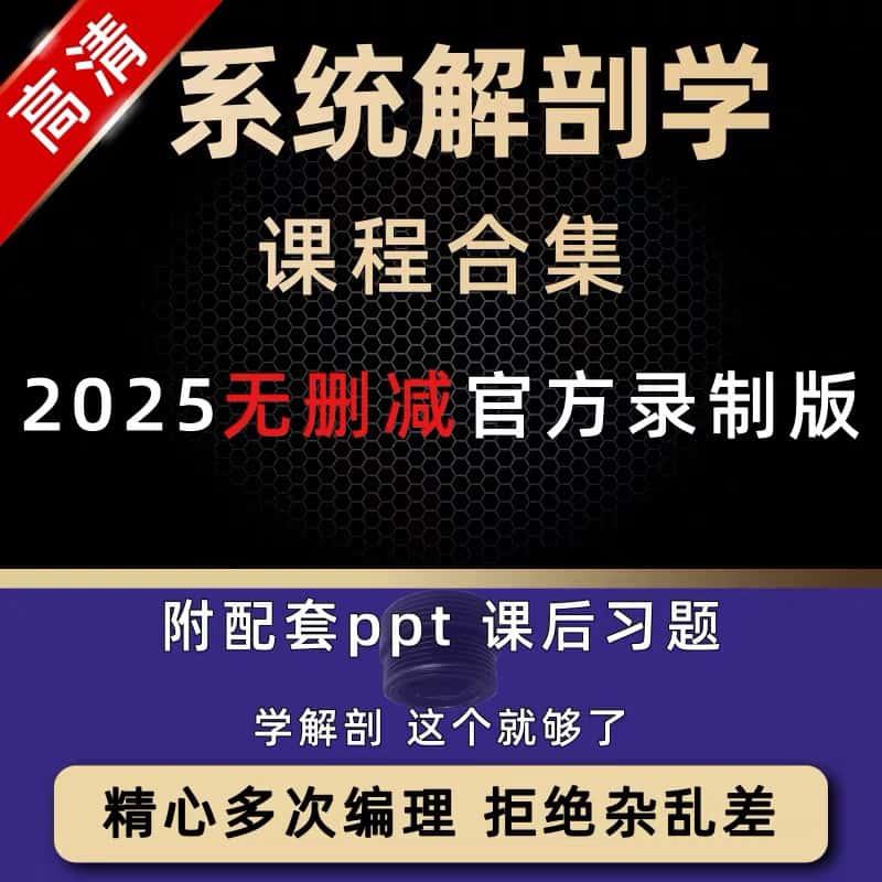 人体系统解剖学教学视频10套肌肉系统大脑神经局部全集教程课程