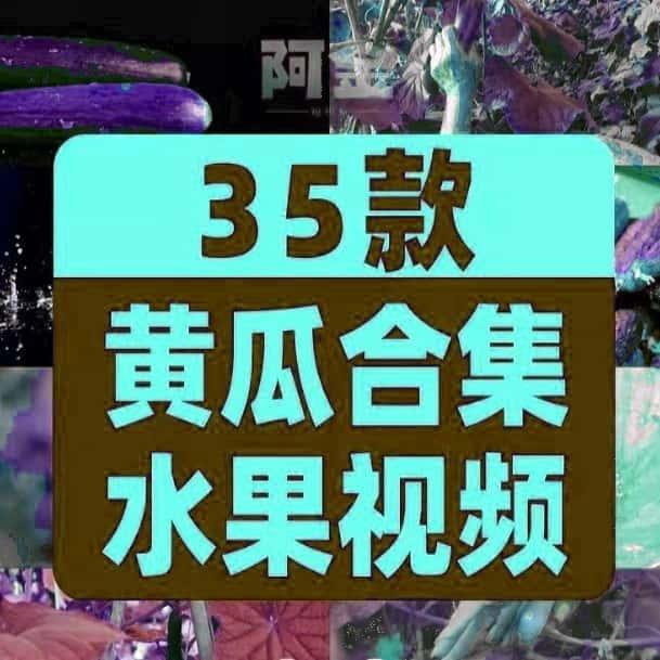 黄瓜合集新鲜水果大棚种植采摘绿色蔬菜视频高清实拍素材资源kgh