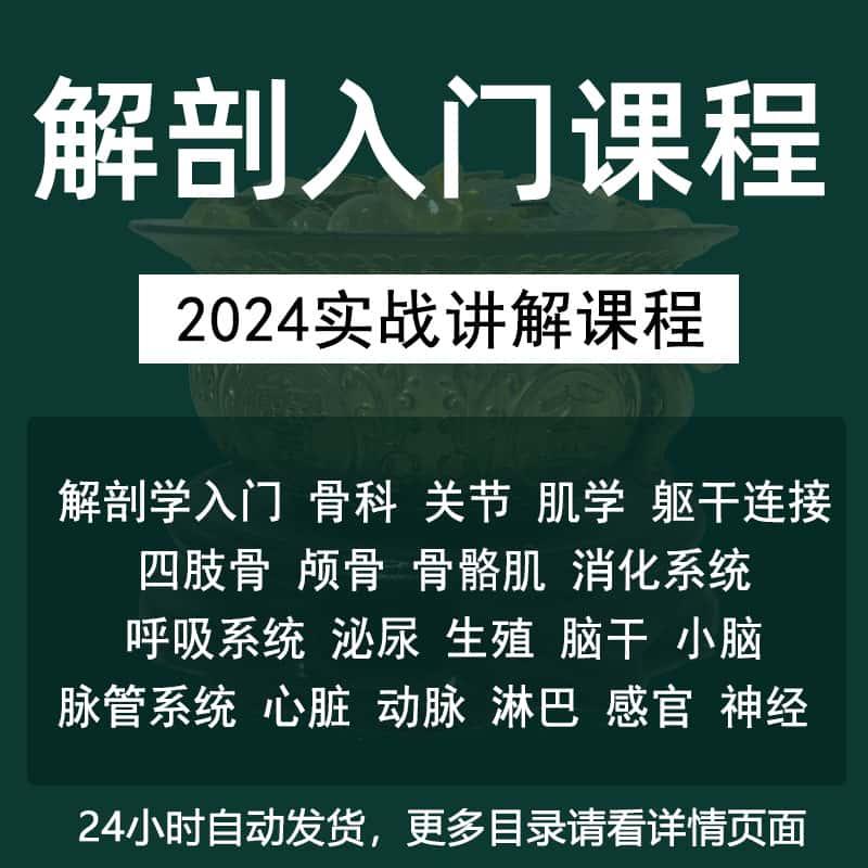 人体解剖学系统解剖零基础入门课程视频讲解教学网课自学医学教程