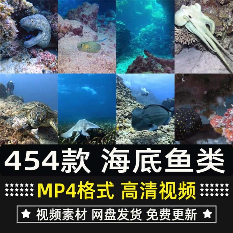 竖屏海底鱼类实拍海洋生物风景抖音高清解压短视频小说推文素材