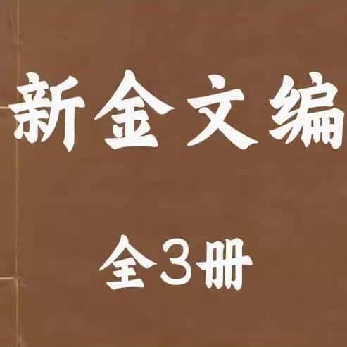 新金文编 全3册 各种了解研究国图资料资源PDF电子版素材