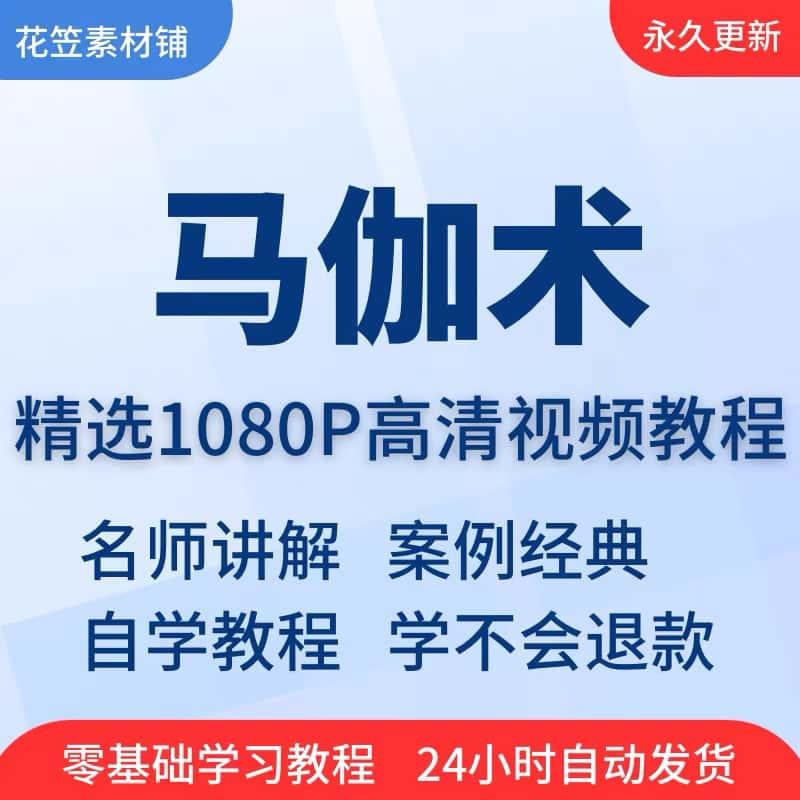 马伽术视频教程全套从入门到精通技巧培训学习在线自学课程