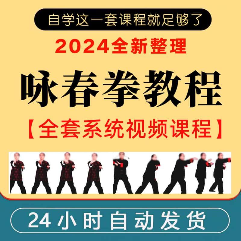 武术咏春拳视频教程U盘全套初学自学入门完整课程木人桩打法优盘