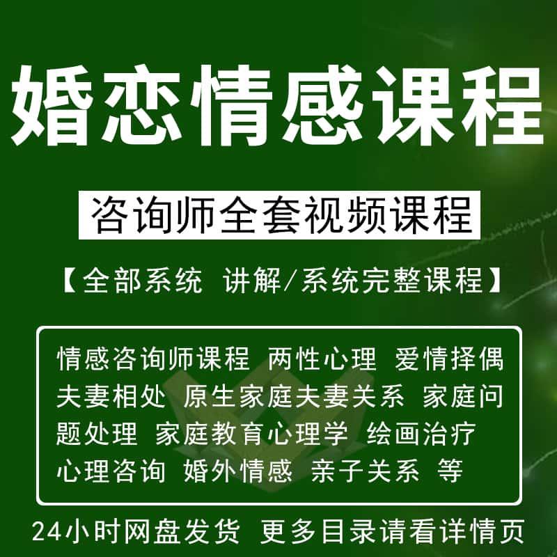 婚姻情感家庭咨询师视频课程亲子家庭矛盾婚恋情感心理学咨询教程