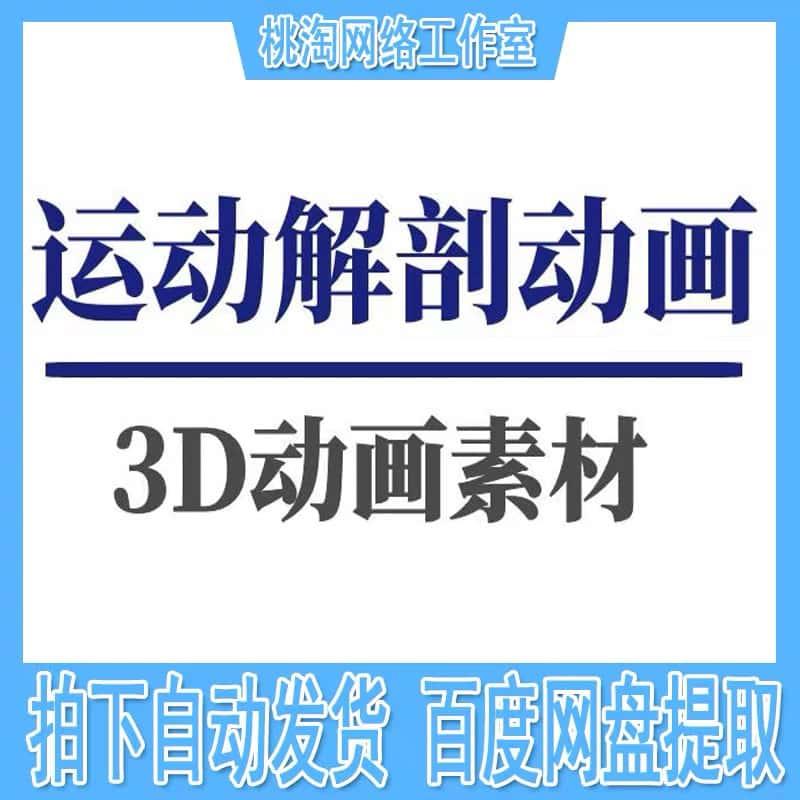 运动肌肉解剖3D动画素材健身动作器械训练瑜伽肌肉解剖短视频