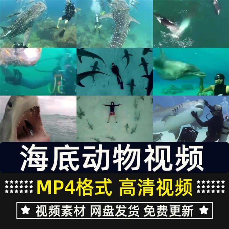 海底世界海洋深海生物动物弱肉强食捕食生活环境自媒体短视频素材