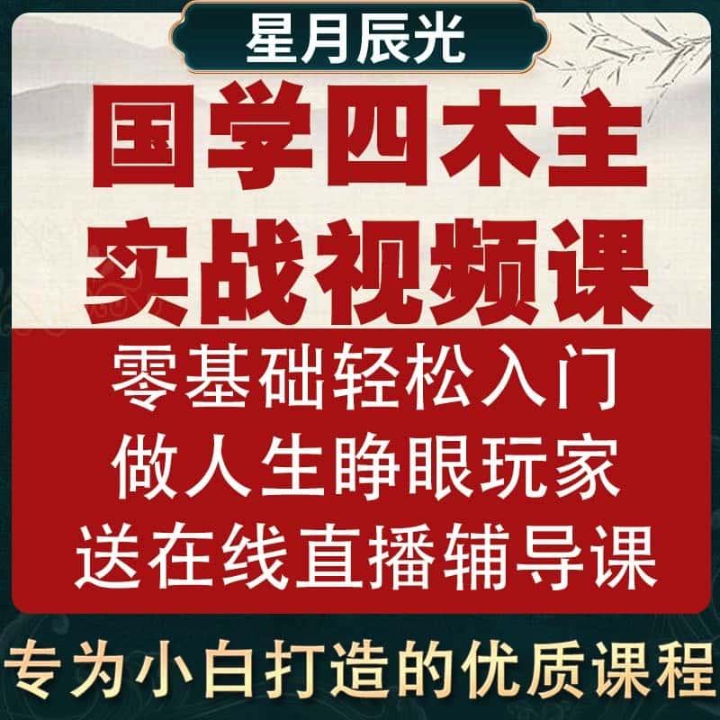 四零基础柱初级课程星月辰光周政仕老师入门视频有辅导国学网课