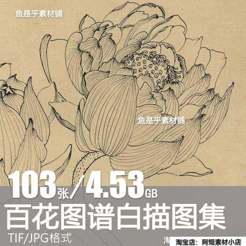 百花图谱白描线稿图集速写国画花卉植物工笔画高清电子版图片素材