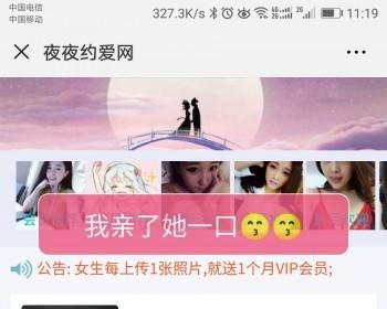探探约爱, 相亲婚恋,约爱交友,同城交友,带VIP充值接口+代理商分销，微信同步登陆
