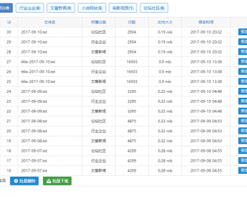 小霸王SEO站群蜘蛛池免受权无限制版V6.3版本|站群SEO源码程序