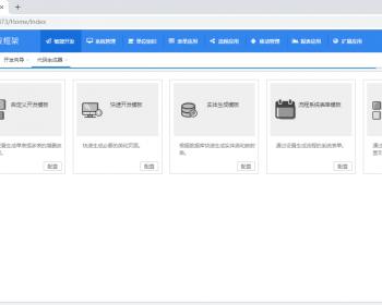 .net敏捷快速开发框架包含工作流（多语言+桌面配置版）