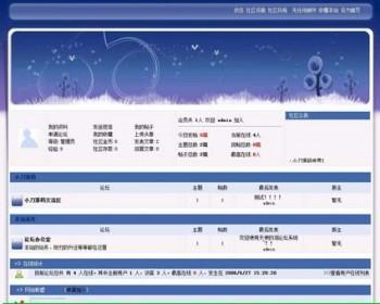 蓝色漂亮 通用BBS论坛管理系统网站源码sqlt001 ASP+ACCESS