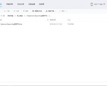 Sqlserver.Reporting报表平台 .NET源码